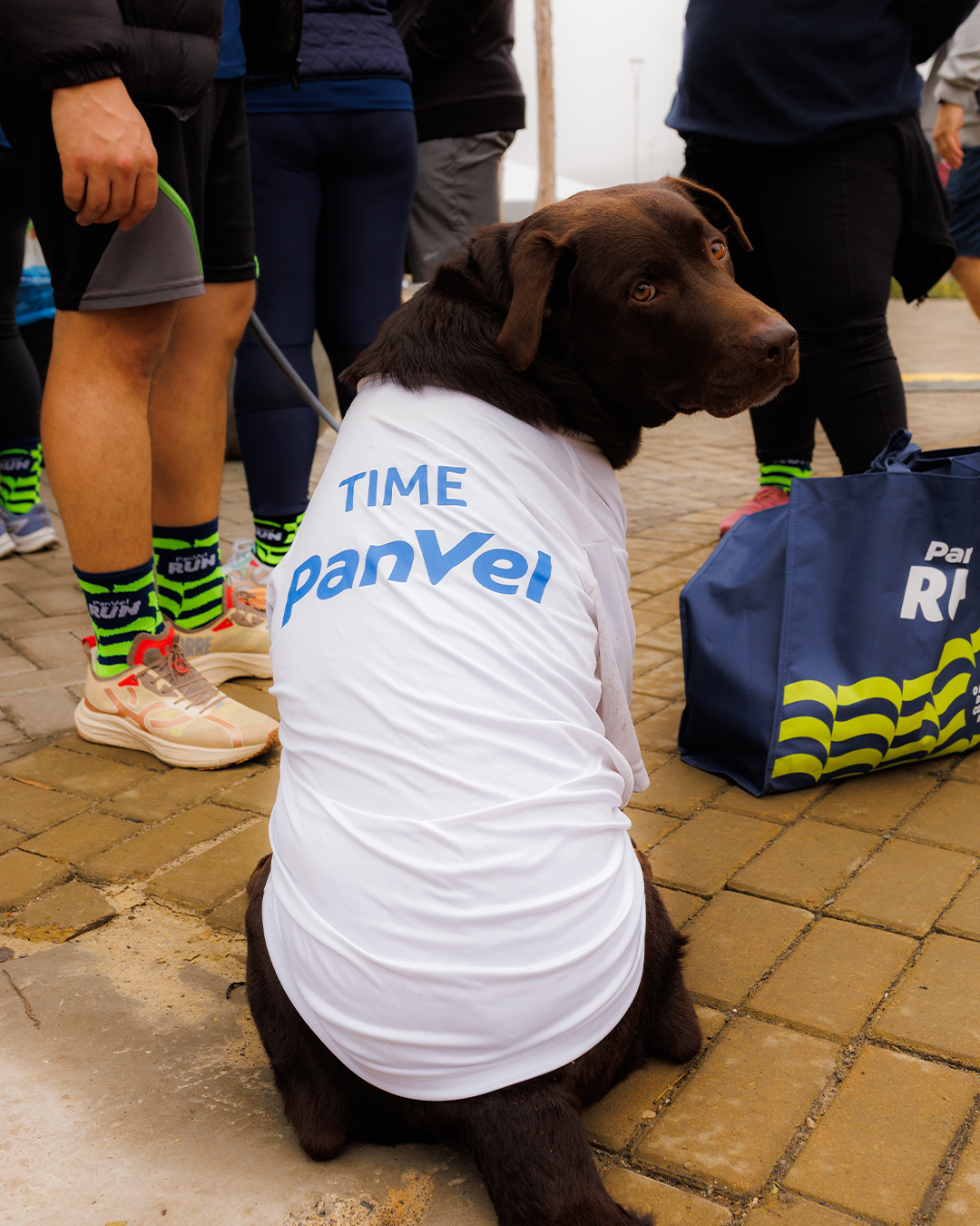 Edição Panvel Run — Foto 08