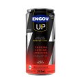 ENERGÉTICO ENGOV UP MELANCIA 269ML