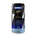 ENERGÉTICO ENGOV UP ORIGINAL 269ML