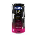 ENERGÉTICO ENGOV UP MORANGO E KIWI LATA 269ML