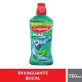 ENXAGUANTE BUCAL COLGATE PLAX FRESH MINT ZERO ALCOOL 750ML