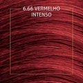 MINI KIT TINTA DE CABELO BIOCOLOR VERMELHO INTENSO DE ARRASAR 6.66