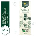 EXTRATO DE PRÓPOLIS VERDE ORGÂNICO APIS FLORA 30 ML
