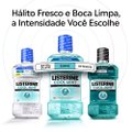 ENXAGUANTE BUCAL LISTERINE COOL MINT SUAVE 1L