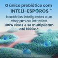 PROBIÓTICO ENTEROGERMINA ADULTO SABOR LARANJA 9 SACHÊS