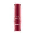 BATOM HIDRAMATTE VERMELHO CANELA PANVEL MAKE UP 3,4G