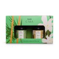 KIT PANVEL CASA COM 2 DIFUSORES DE AROMAS BAMBU E VANILLA 100ML CADA