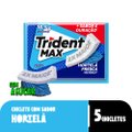 GOMA DE MASCAR TRIDENT MAX HORTELÃ FRESCA 16G