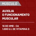 VITASAY MUSCULO FR 30 CPRV