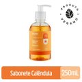 SABONETE LÍQUIDO PANVEL CALÊNDULA 250 ML