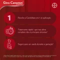 GINO CANESTEN 1 DIA CÁPSULA VAGINAL 500MG COM APLICADOR