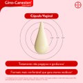 GINO CANESTEN 1 DIA CAPSULA VAGINAL 500MG COM APLICADOR