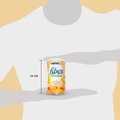 SUPLEMENTO ALIMENTAR DE FIBRAS FIBER MAIS LARANJA 170G