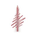 LÁPIS DELINEADOR PARA LÁBIOS ROSA SALMÃO PANVEL MAKE UP 1,1G