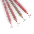 LÁPIS DELINEADOR PARA LÁBIOS ROSA SALMÃO PANVEL MAKE UP 1,1G
