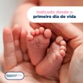 KIT  LENÇOS UMEDECIDOS PARA BEBÊS BEPANTOL BABY LEVE 4 PAGUE 3 COM 48 UNIDADES CADA