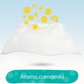 LENÇOS UMEDECIDOS PAMPERS AROMA DE CAMOMILA COM 48 UNIDADES