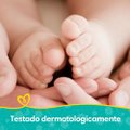 LENÇOS UMEDECIDOS PAMPERS AROMA DE CAMOMILA COM 48 UNIDADES