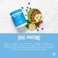 COLÁGENO VITAL PROTEINS COLLAGEN PEPTIDES ORIGINAL SEM SABOR 284G