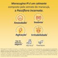 CALMANTE FITOTERÁPICO MARACUGINA PI 420MG 20 COMPRIMIDOS