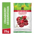 SNACK NATURE'S HEART CRANBERRY 25G