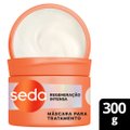 MÁSCARA DE TRATAMENTO SEDA COLÁGENO - VITAMINA C 300G