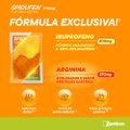 SPIDUFEN 770 MG GRANULADO 10 ENVELOPES SABOR DAMASCO