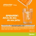 SPIDUFEN 770 MG GRANULADO 10 ENVELOPES SABOR DAMASCO