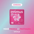 ABSORVENTE INTIMUS TODA RENOVADA DIA COBERTURA SUAVE 14 UNIDADES