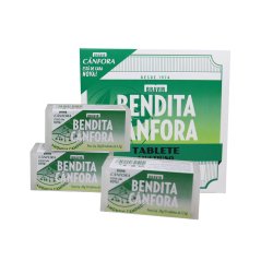 Bendita Cânfora Bravir Tablete 28g