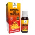 EXTRATO DE PRÓPOLIS VERDE APIS VIDA 20ML