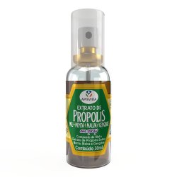 Spray Própolis Com Gengibre Apis Vida 30ml