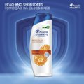 SHAMPOO ANTICASPA HEAD & SHOULDERS REMOÇÃO DA OLEOSIDADE 400ML