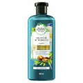 SHAMPOO HERBAL ESSENCES REPAIR ARGAN OIL 400ML
