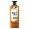 SHAMPOO HERBAL ESSENCES SMOTH GOLDEN MORINGA 400ML