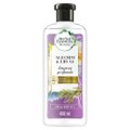 SHAMPOO HERBAL ESSENCES BIO:RENEW ALECRIM E ERVAS 400ML