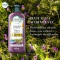 CONDICIONADOR HERBAL ESSENCES BIO:RENEW ALECRIM E ERVAS 400ML