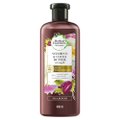 SHAMPOO HERBAL ESSENCES BIO:RENEW VITAMINA E E MANTEIGA DE CACAU 400ML