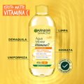 ÁGUA MICELAR GARNIER SKINACTIVE ANTIOLEOSIDADE VITAMINA C 400ML