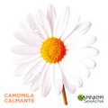 MÁSCARA FACIAL EM TECIDO GARNIER HIDRA BOMB CAMOMILA CALMANTE 32G