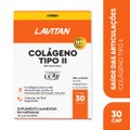 Kit Lavitan Suplemento Alimentar Cálcio + Vitamina D 1000 Ui Com 60 Comprimidos + Suplemento Alimentar Colágeno Tipo Ii Com 30 Cápsulas