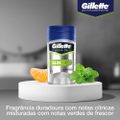 DESODORANTE ANTITRANSPIRANTE STICK GILLETTE HYDRAGEL 45G