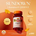 SUPLEMENTO ALIMENTAR SUNDOWN VITAMINA D 2.000 UI 200 CÁPSULAS