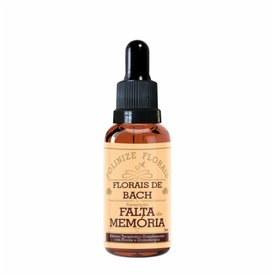FLORAIS DE BACH POLINIZE SENSAÇÃO FALTA DE MEMÓRIA 30ML