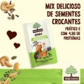 SNACK SAUDÁVEL MÃE TERRA REMIX SEMENTES 25 G