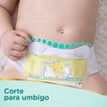 FRALDA PAMPERS PREMIUM CARE RECÉM-NASCIDO RN+ COM 36 UNIDADES