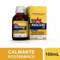 MARACUGINA PI 90MG/ML 100ML SOLUÇÃO ORAL
