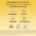 MARACUGINA PI 90MG/ML 100ML SOLUÇÃO ORAL