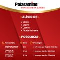 ANTIALÉRGICO POLARAMINE 0,4MG/ML SOLUÇÃO ORAL SABOR FRUTAS 120ML
