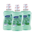 Kit Enxaguante Bucal Panvel Hortelã 300Ml com 3 unidades